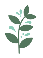 21641506_10214480680029801_855653304_n